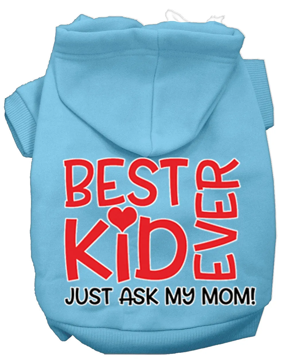 Ask My Mom Screen Print Dog Hoodie Baby Blue Xxl